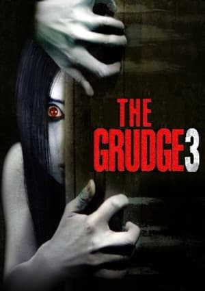 The Grudge 3 2009 Hindi Dual Audio 480p Web-DL 300MB